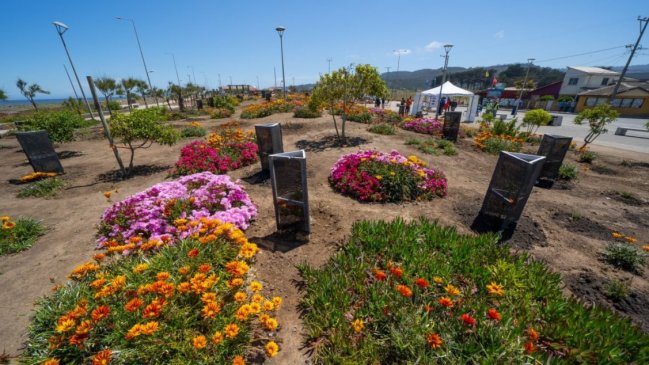 Conaf inaugura parque con más de 1.800 plantas y árboles en La Lobería de Cobquecura