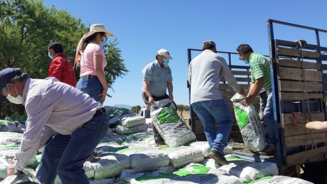 Productores no asociados a Indap recibieron apoyo para emergencia agrícola en el Maule