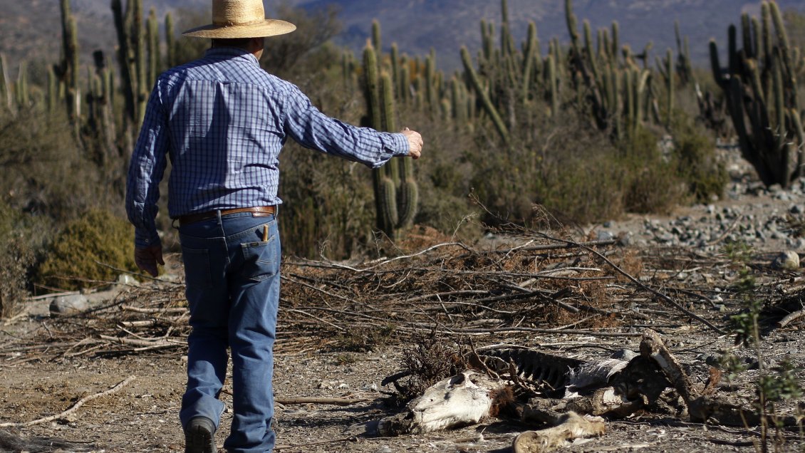 Los Ríos fue declarada bajo escasez hídrica: La mitad del país está en una 