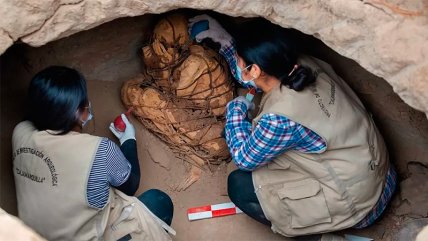   Descubren en Perú una momia pre incaica con las manos cubriéndose el rostro 