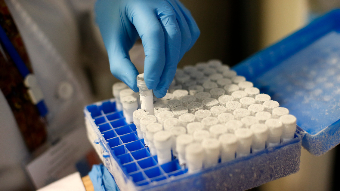 ISP convocó estudio para comparar la inmunidad entre vacunados y no vacunados