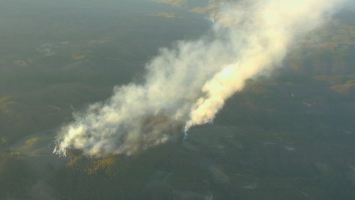 Incendio forestal mantiene con Alerta Roja a Nacimiento