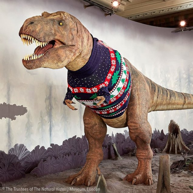 enfocar agujero Acrobacia Fotos] Museo adelanta la Navidad con su Tiranosaurio rex vestido para la  ocasión - Cooperativa.cl