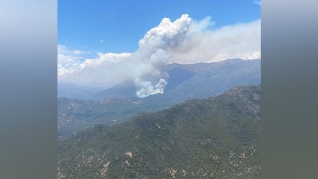 Declaran alerta roja por incendio forestal en San Fernando