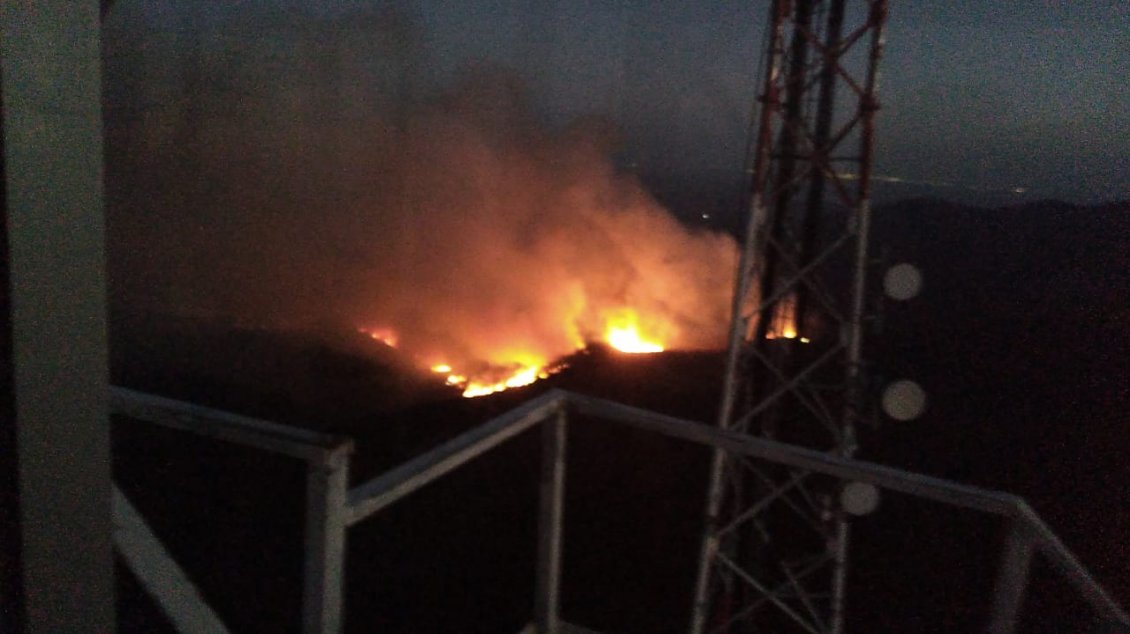 Declaran alerta roja por incendio forestal en la comuna de Ninhue