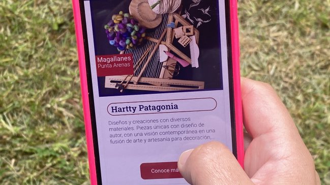 Veintisiete emprendedores de Magallanes ofrecen sus productos y servicios en CyberFosis