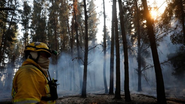 Tres incendios forestales en La Araucanía: dos en Galvarino y uno en Padre Las Casas