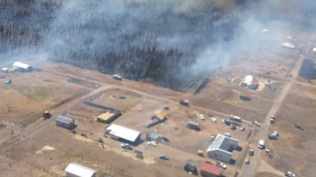 Incendio en Los Sauces consume 15 hectáreas