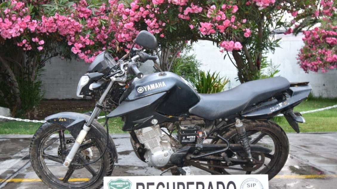 Denuncia por porte de arma de fuego reveló tenencia de moto robada en Iquique