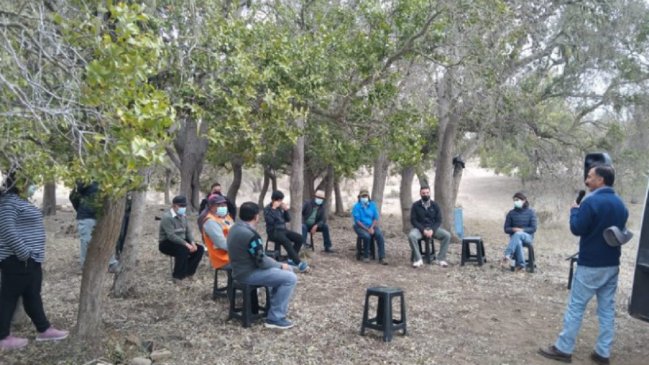 Canela busca potenciar plantación de vegetación de niebla para captar agua