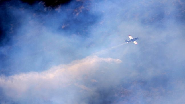 Avión fue blanco de disparos mientras combatía incendio en Contulmo