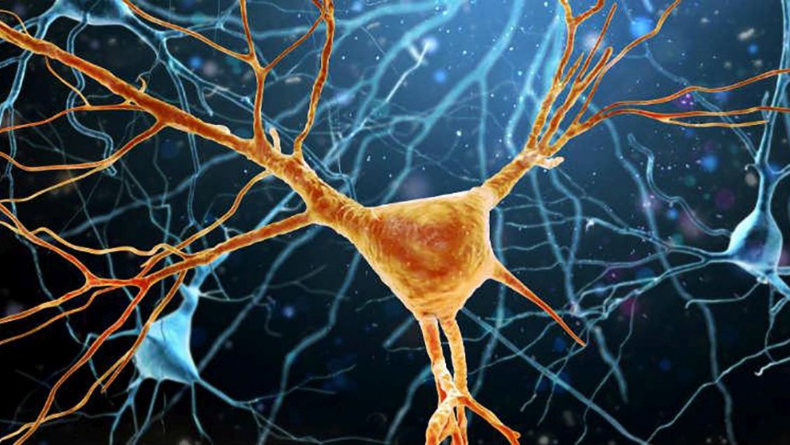 Investigadores nipones hallan un medicamento para alzhéimer eficaz para ELA