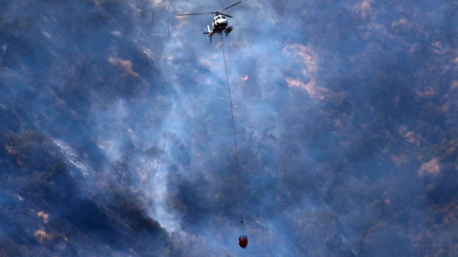 Cuatro alertas rojas por incendios forestales fueron declaradas este fin de semana en el país