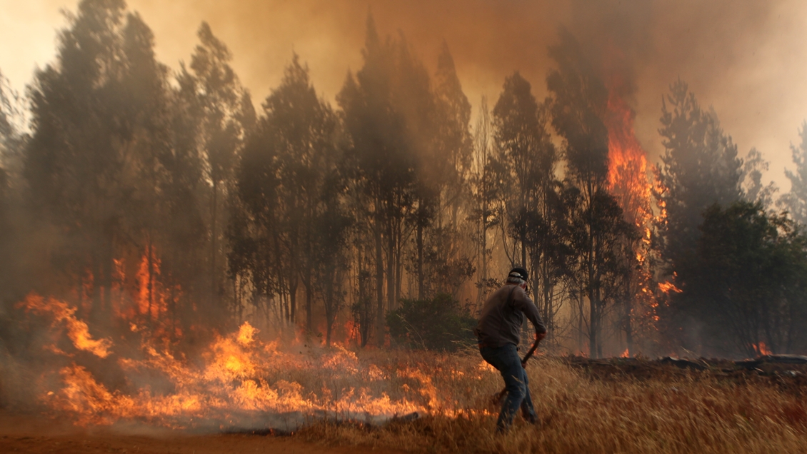 Siete incendios forestales siguen activos en la zona centro sur