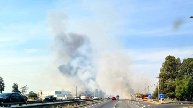 Fiscal preferente investigará incendio que hizo arder un motel abandonado