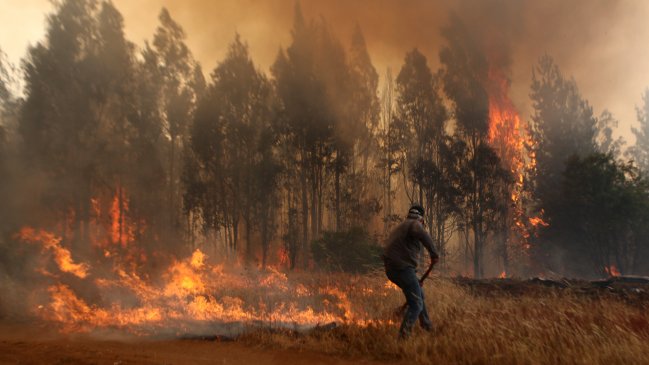 Chile registra en 2021 un 380% más de hectáreas afectadas en incendios
