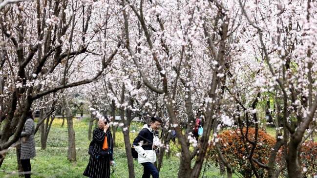 Ciudad china abre una base de datos de solteros para ayudar a emparejarlos