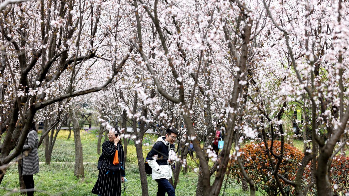 Ciudad china abre una base de datos de solteros para ayudar a emparejarlos