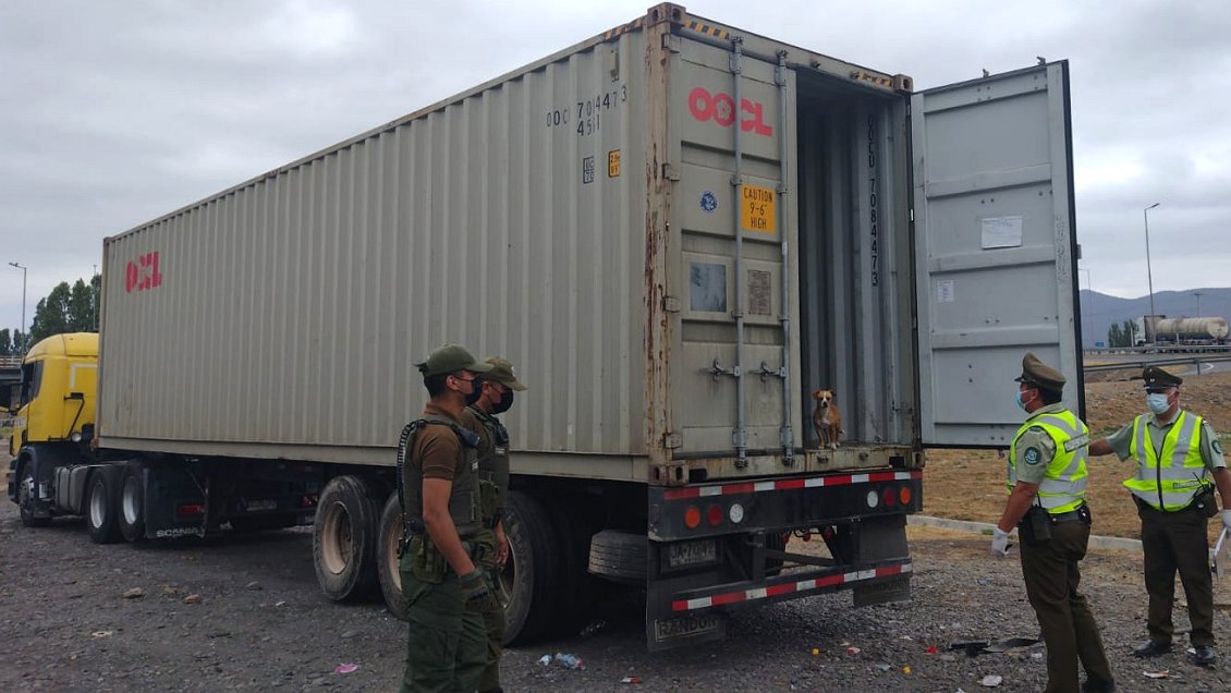 Camionero llevaba en un container a 10 inmigrantes irregulares, cuatro de ellos niños