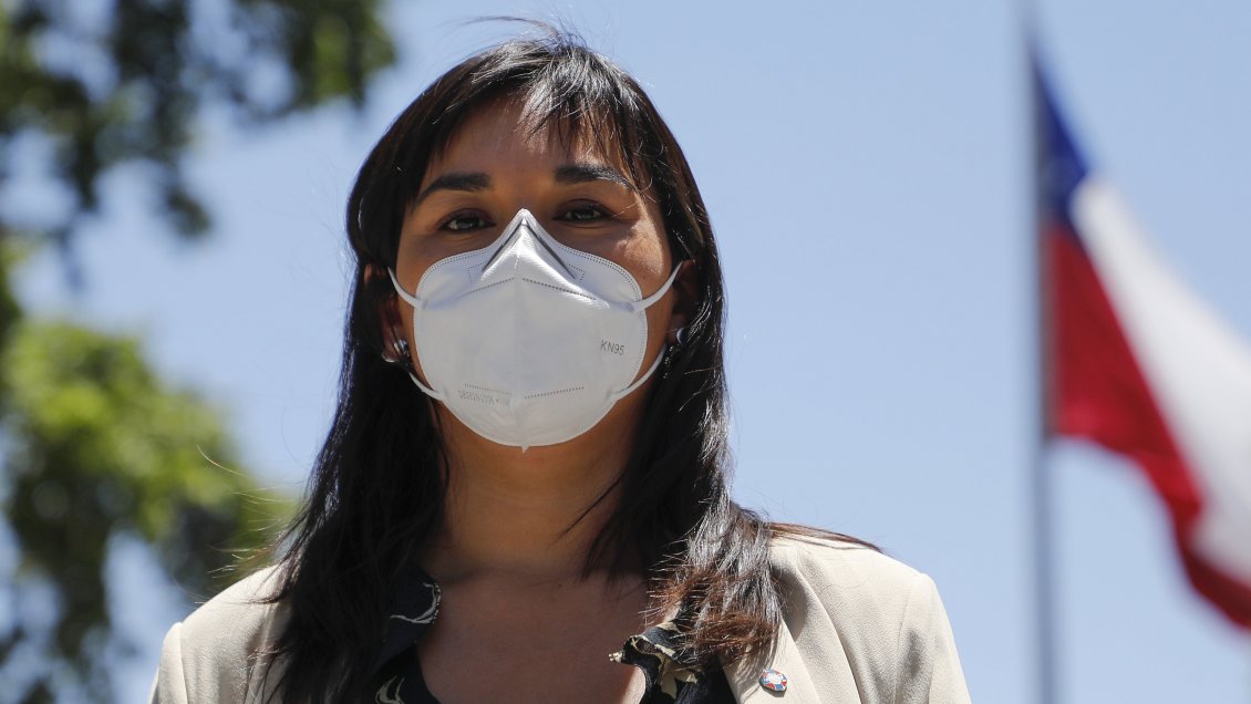 Izkia Siches y conflicto en La Araucanía: 