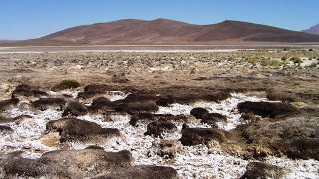 Tribunal ambiental impidió a minera extracción de agua desde un acuífero