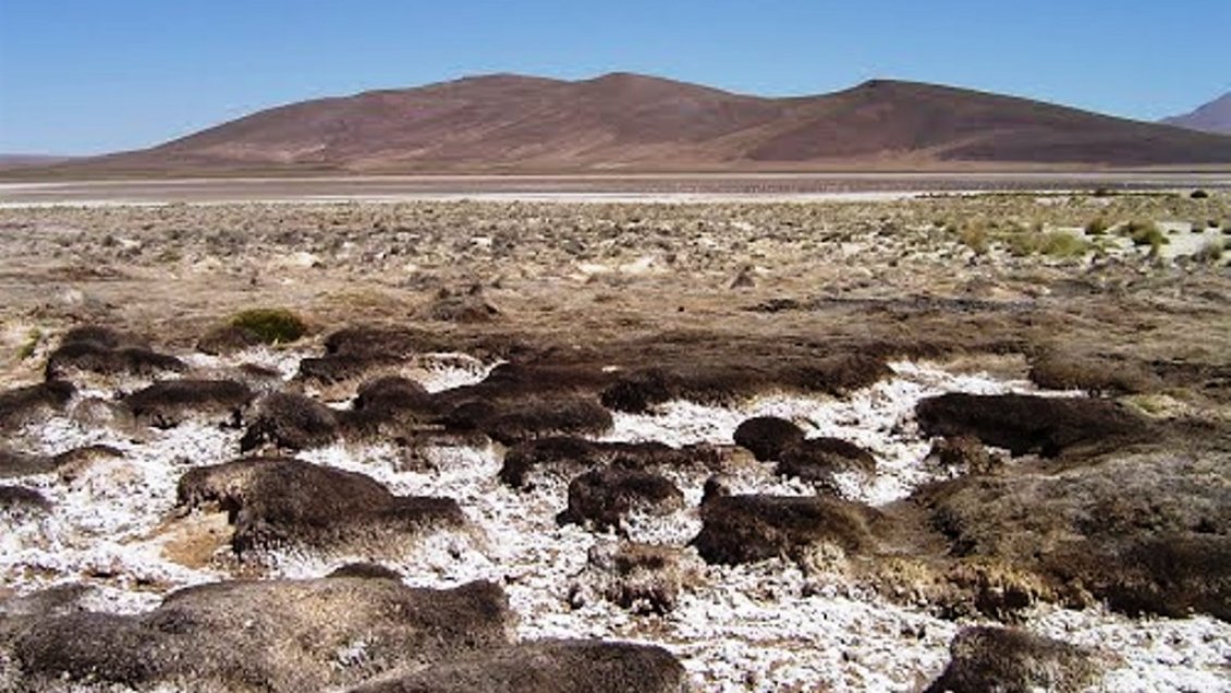 Tribunal ambiental impidió a minera extracción de agua desde un acuífero