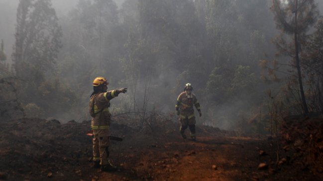 Más de 100 productores agrícolas fueron afectados por los incendios forestales en La Araucanía