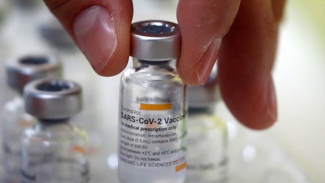 Doctor Alexis Kalergis: La expectativa es elaborar vacunas en Chile este año o el próximo