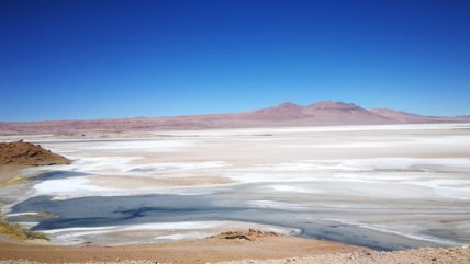 Consultora minera: El litio está en salares y rocas; en Chile tenemos salares y el de Atacama es el mejor