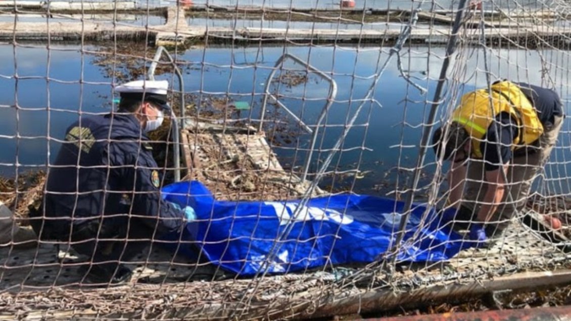Investigan muerte de dos buzos ayseninos en accidentes en centros de cultivo de salmones