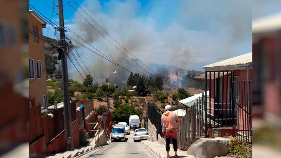 Incendio forestal mantiene en alerta roja a Viña del Mar