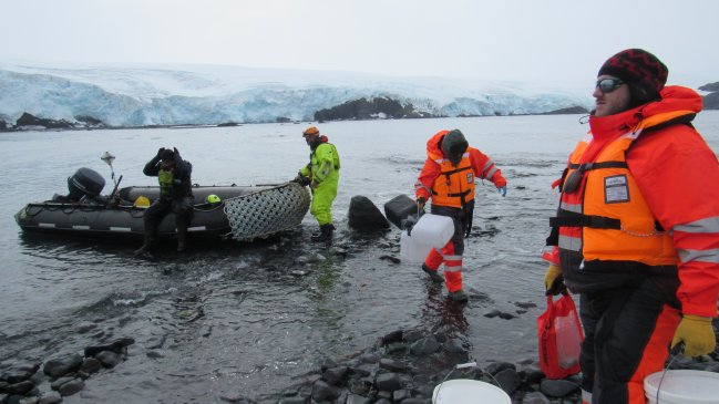 Expedición estudiará el impacto ambiental humano en la Antártica