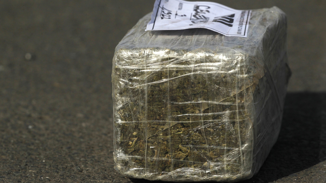 Perro del OS-7 ayudó a detectar millonario cargamento de drogas en Lautaro: Tres personas detenidas