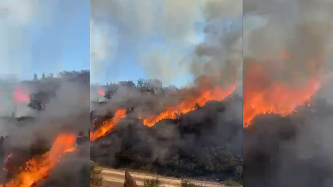 Controlado incendio forestal que amenazó viviendas en Valparaíso