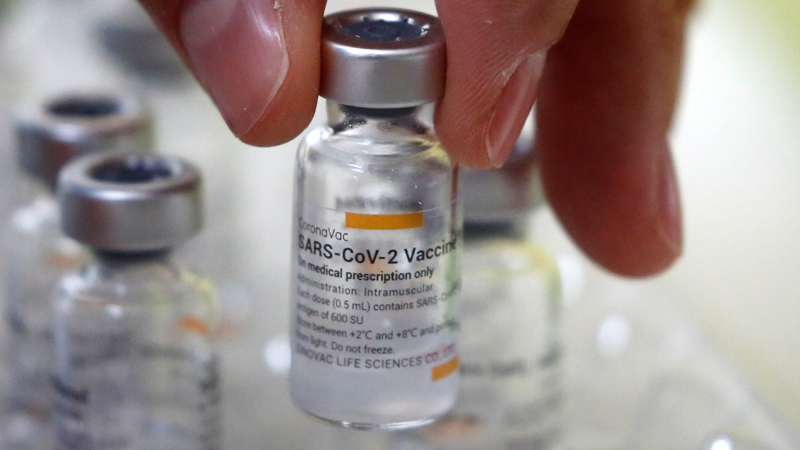 Planta de vacunas de Sinovac será construida en Quilicura