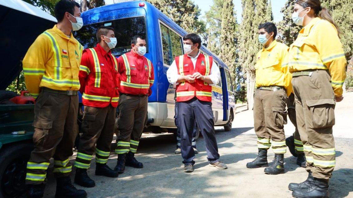 Región del Maule tiene esta temporada un 80% menos de hectáreas afectadas por los incendios