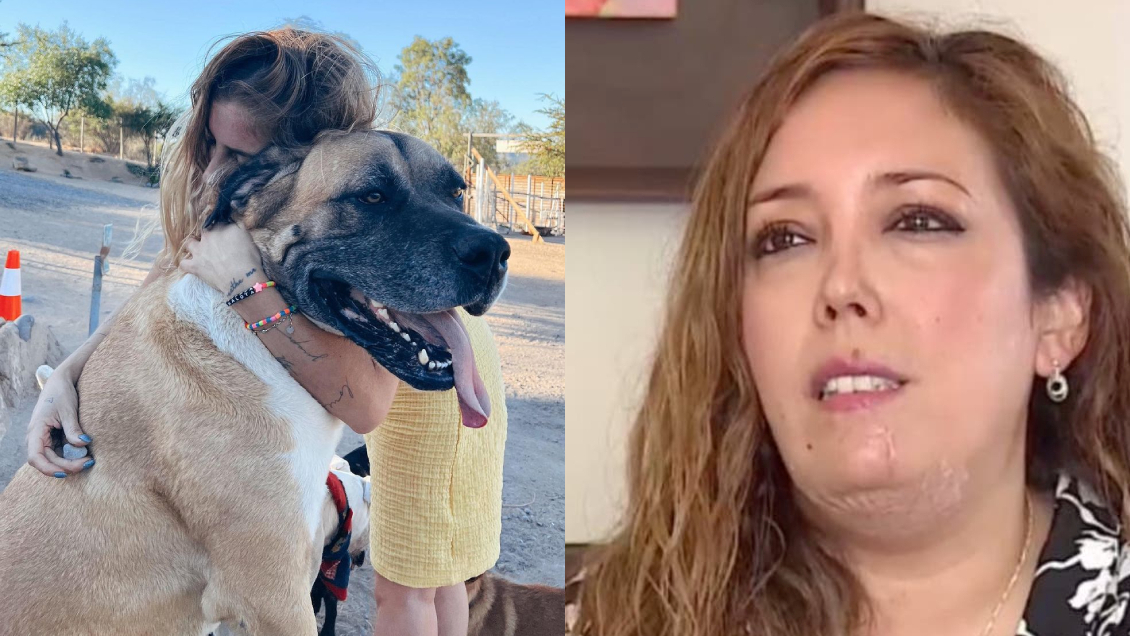 Daniela Castro y el accidente con su perro: 