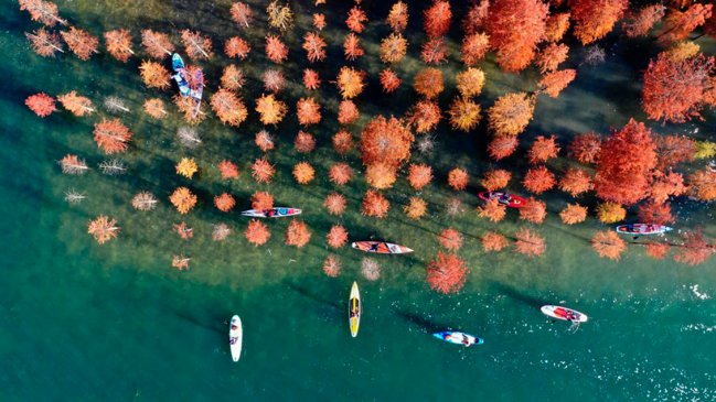 China cumple objetivos ecológicos en 2021