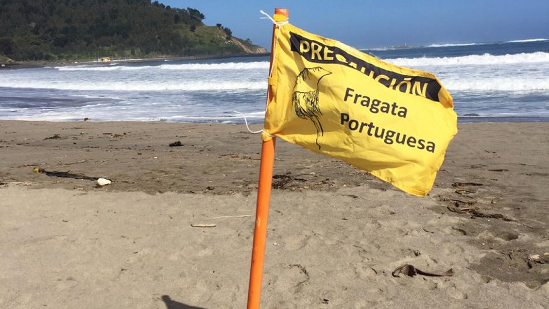 A fragata portuguesa finalmente deu uma pausa: Todas as praias de La Serena estão abertas para banho