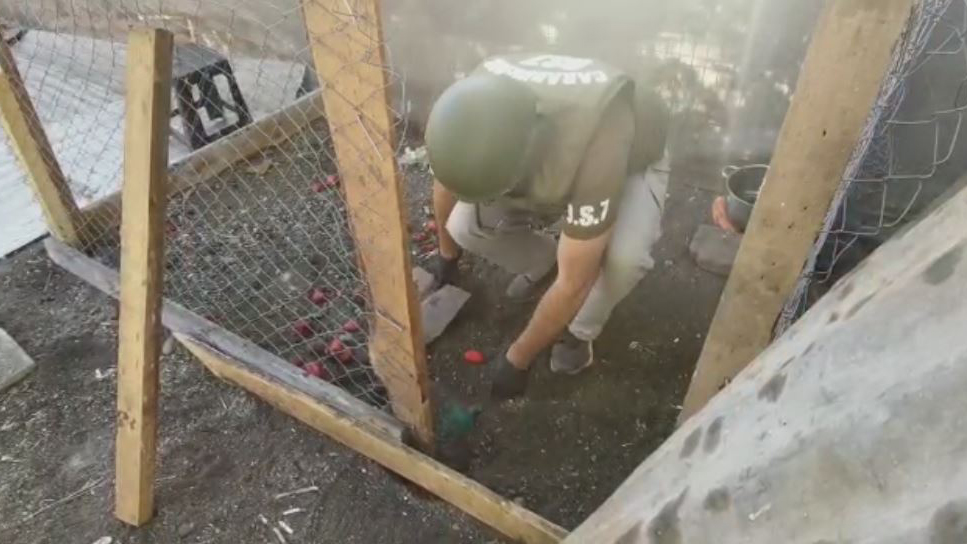 Carabineros detuvo a banda que escondía droga en un gallinero