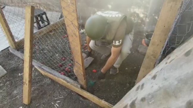 Carabineros detuvo a banda que escondía droga en un gallinero