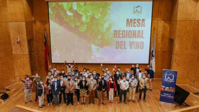 Conforman mesa del vino en Ñuble con productores, académicos y autoridades regionales