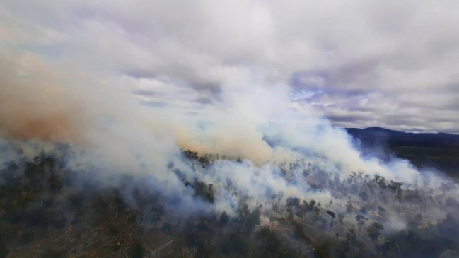 Cerca de 300 hectáreas de vegetación destruidas en incendio forestal en Timaukel