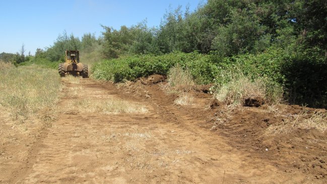 Construyen más de 120 kilómetros de cortafuegos en la región del Biobío