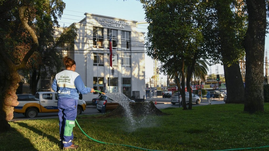 Chillán recobra mantención de áreas verdes con nueva concesionaria: 122 trabajadores desplegados