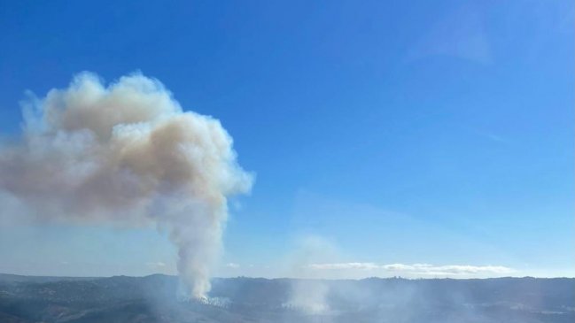 Incendio ha consumido casi 20 hectáreas de vegetación en Valparaíso