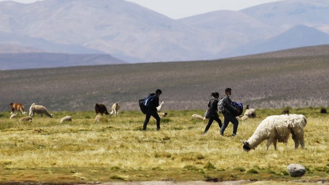 Gobiernos de Chile y Bolivia discutirán la crisis migratoria 