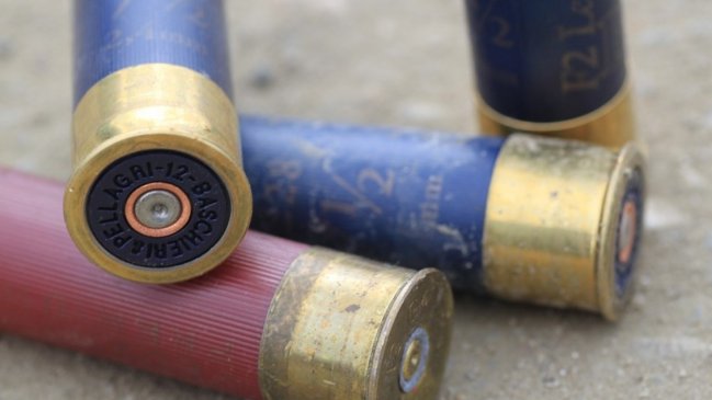 Nuevos antecedentes sobre asesinato de comunero en Tirúa: Fue acusado de robar una vaca