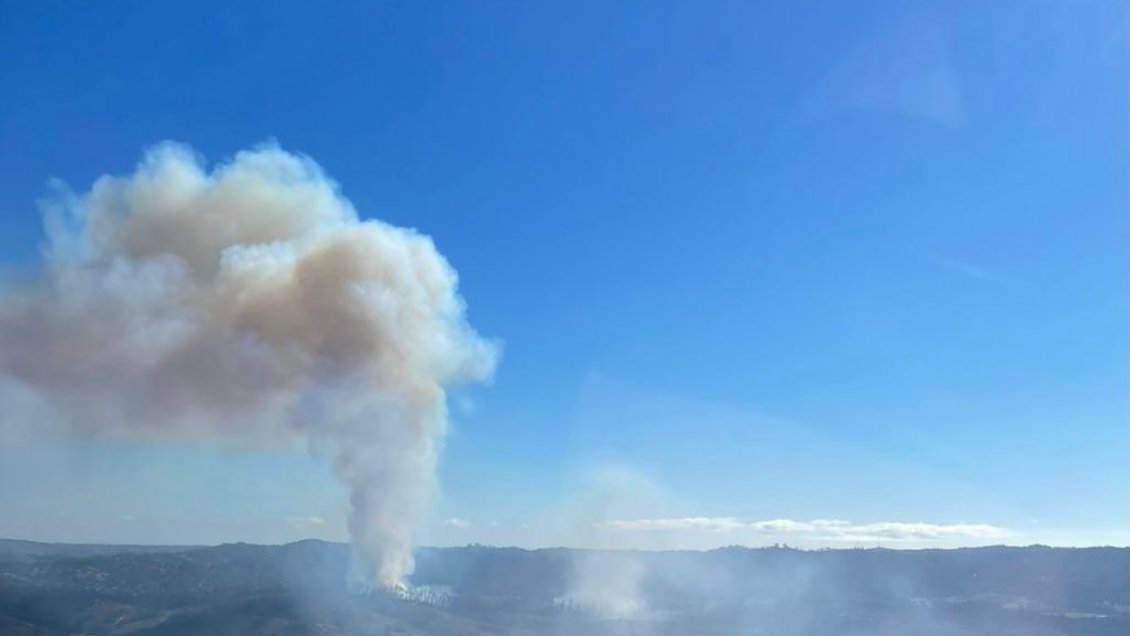 Incendio ha consumido casi 20 hectáreas de vegetación en Valparaíso