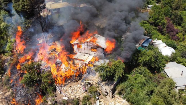 Incendio forestal en Concepción deja dos casas destruidas